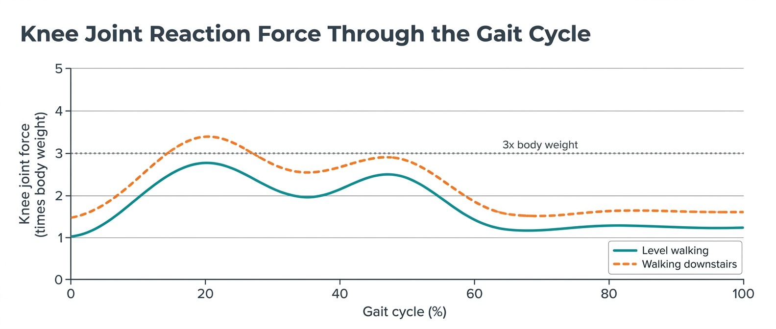 Line graph of knee joint force across the gait cycle, with level walking peaking near 2.8 and 2.5 times body weight and walking downstairs peaking near 3.4 and 2.9 times body weight