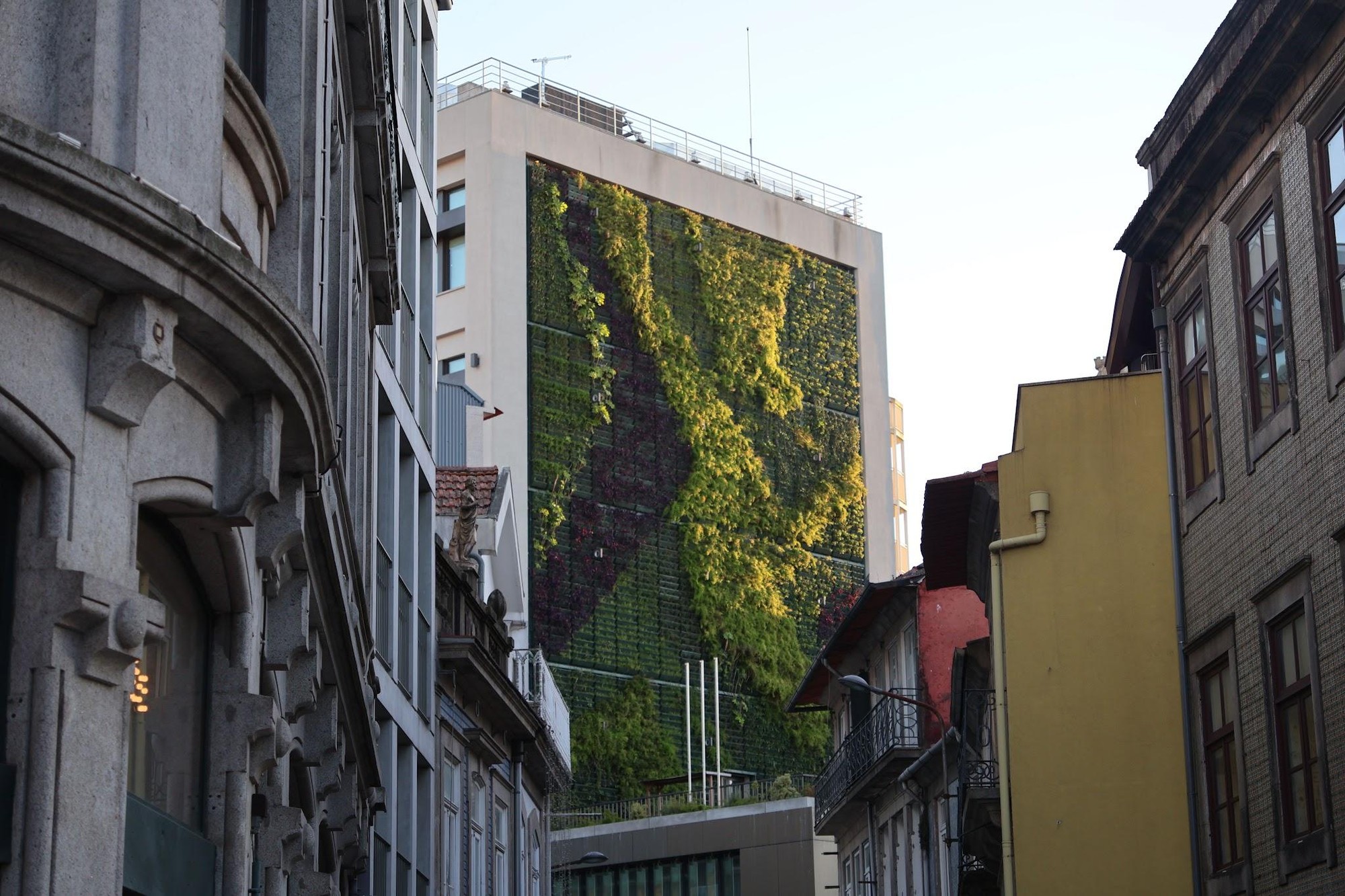 A large urban building featuring a massive vertical garden wall filled with lush green and purple plants, framed by traditional European-style street architecture.