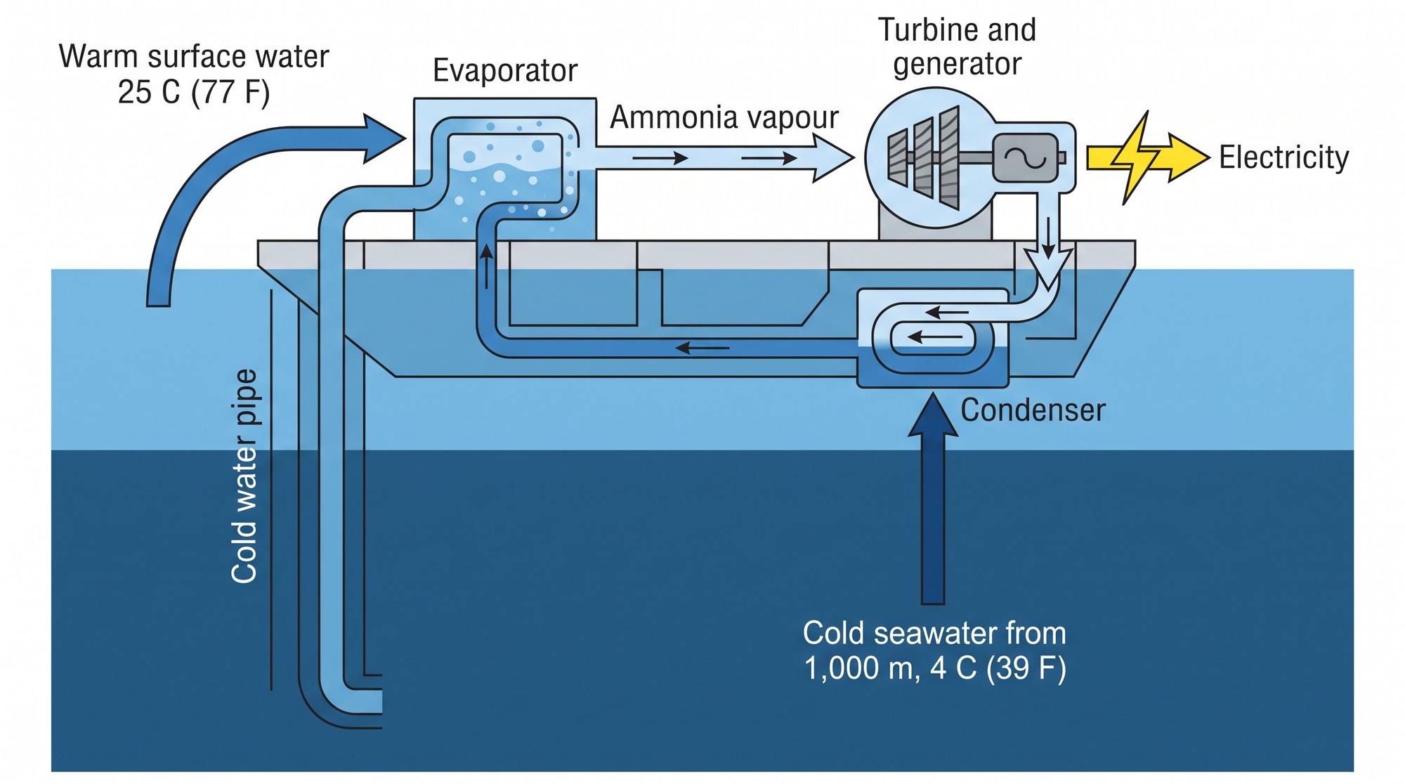 Cutaway diagram of a closed-cycle ocean thermal energy conversion plant showing warm surface water at 25 C (77 F), an evaporator, a turbine, a condenser and cold deep seawater at 4 C (39 F)