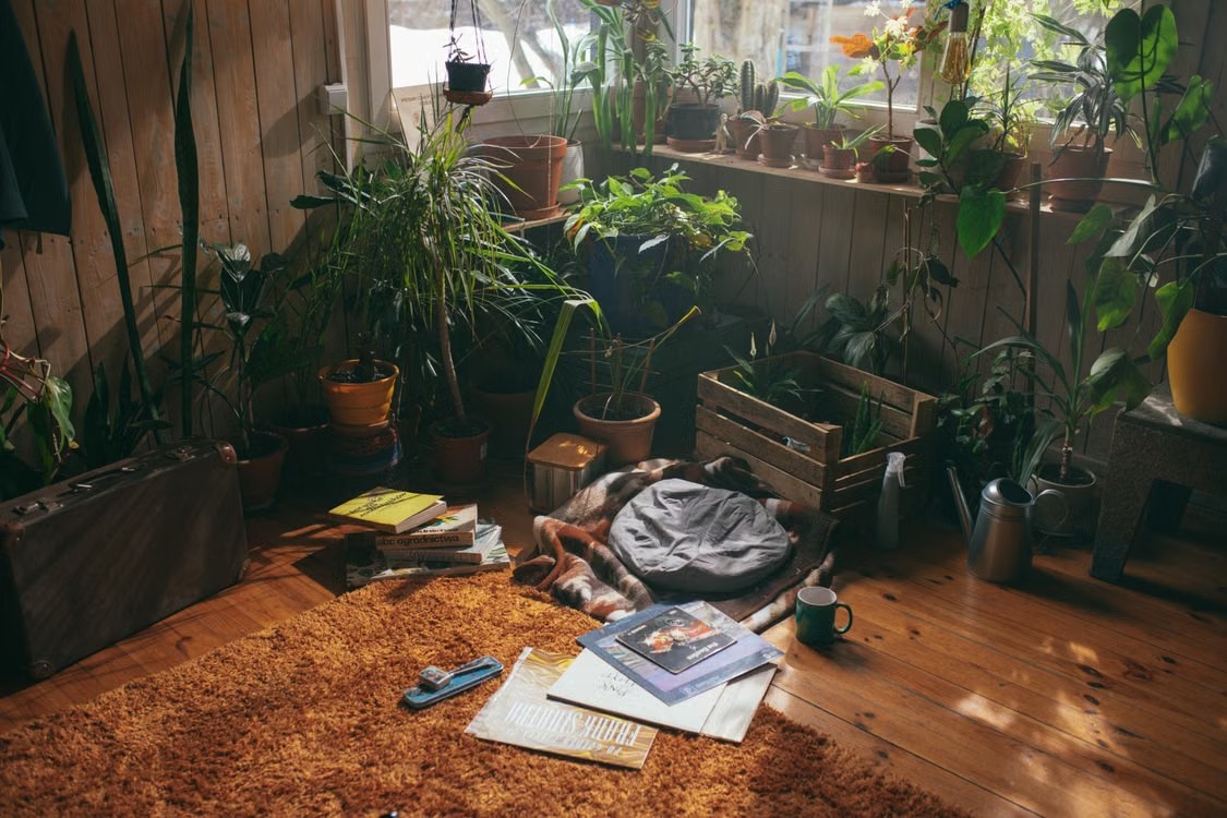 Green Decor Ideas for a Sustainable Living Space A sunlit living room filled with numerous potted houseplants, wooden walls, and natural textures.